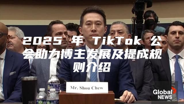 2025 年 TikTok 公会助力博主发展及提成规则介绍