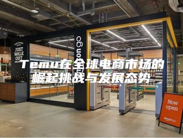 Temu在全球电商市场的崛起挑战与发展态势