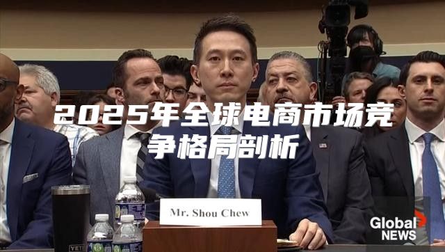 2025年全球电商市场竞争格局剖析