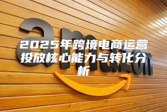 2025年跨境电商运营投放核心能力与转化分析