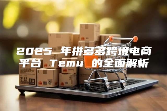 2025 年拼多多跨境电商平台 Temu 的全面解析