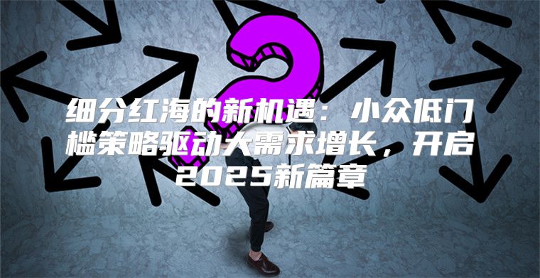 细分红海的新机遇：小众低门槛策略驱动大需求增长，开启2025新篇章