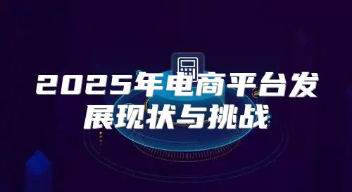 2025年电商平台发展现状与挑战