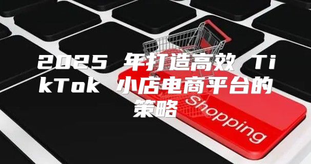 2025 年打造高效 TikTok 小店电商平台的策略