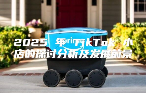 2025 年 TikTok 小店的探讨分析及发展前景