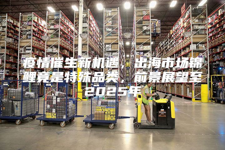 疫情催生新机遇，出海市场锦鲤竟是特殊品类，前景展望至2025年
