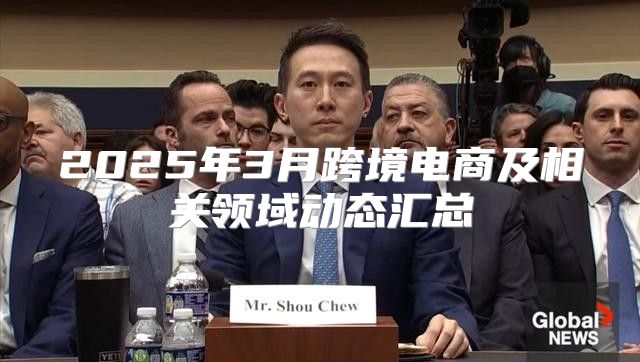 2025年3月跨境电商及相关领域动态汇总
