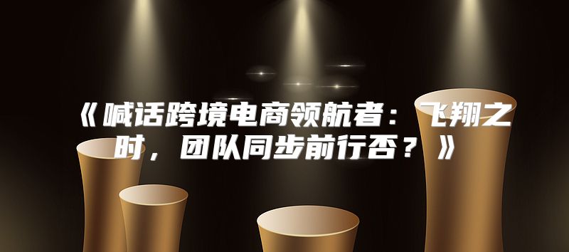 喊话跨境电商领航者：飞翔之时，团队同步前行否？