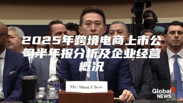 2025年跨境电商上市公司半年报分析及企业经营概况