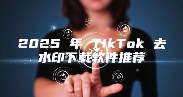 2025 年 TikTok 去水印下载软件推荐