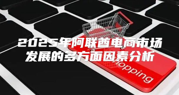 2025年阿联酋电商市场发展的多方面因素分析