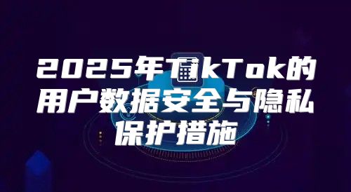2025年TikTok的用户数据安全与隐私保护措施