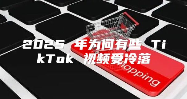 2025 年为何有些 TikTok 视频受冷落