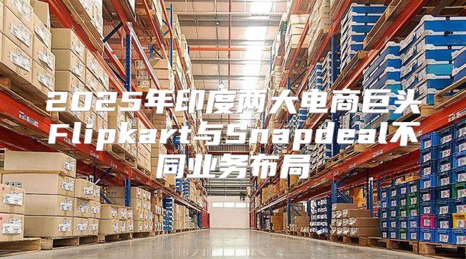 2025年印度两大电商巨头Flipkart与Snapdeal不同业务布局