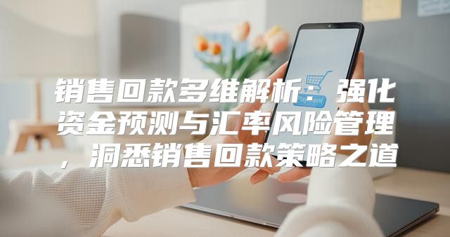 销售回款多维解析：强化资金预测与汇率风险管理，洞悉销售回款策略之道