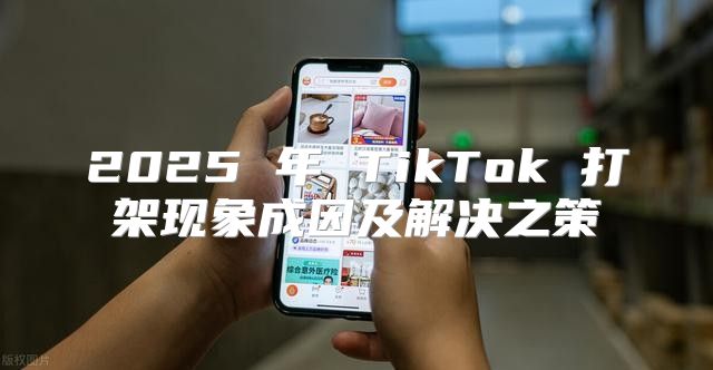 2025 年 TikTok 打架现象成因及解决之策