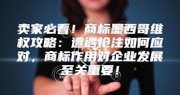 卖家必看！商标墨西哥维权攻略：遭遇抢注如何应对，商标作用对企业发展至关重要！