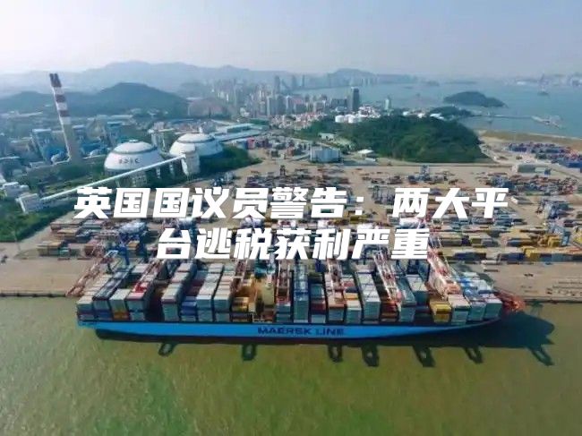 英国国议员警告：两大平台逃税获利严重