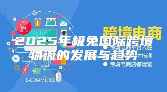2025年极兔国际跨境物流的发展与趋势