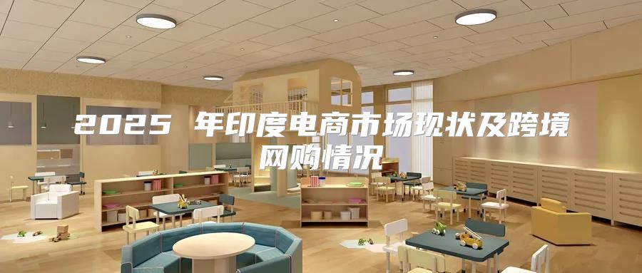2025 年印度电商市场现状及跨境网购情况