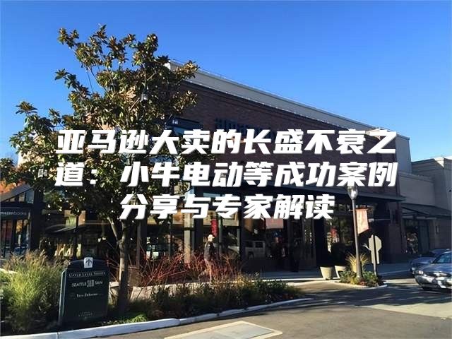 亚马逊大卖的长盛不衰之道：小牛电动等成功案例分享与专家解读