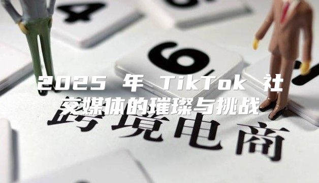 2025 年 TikTok 社交媒体的璀璨与挑战