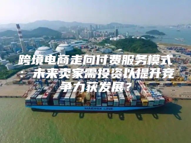 跨境电商走向付费服务模式：未来卖家需投资以提升竞争力获发展？