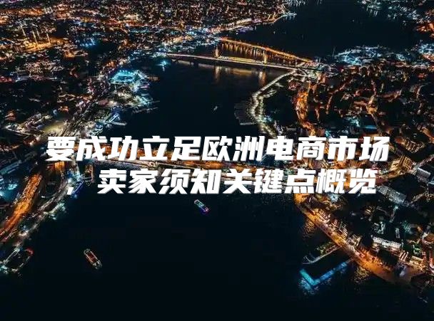 要成功立足欧洲电商市场，卖家须知关键点概览