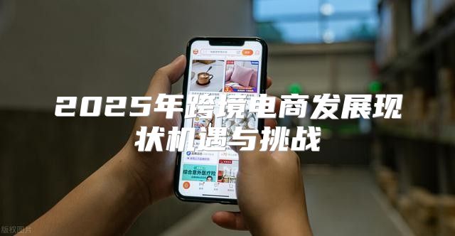 2025年跨境电商发展现状机遇与挑战