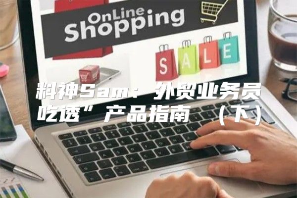 料神Sam：外贸业务员吃透”产品指南 下