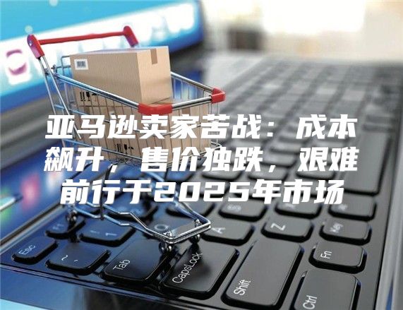 亚马逊卖家苦战：成本飙升，售价独跌，艰难前行于2025年市场