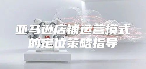 亚马逊店铺运营模式的定位策略指导