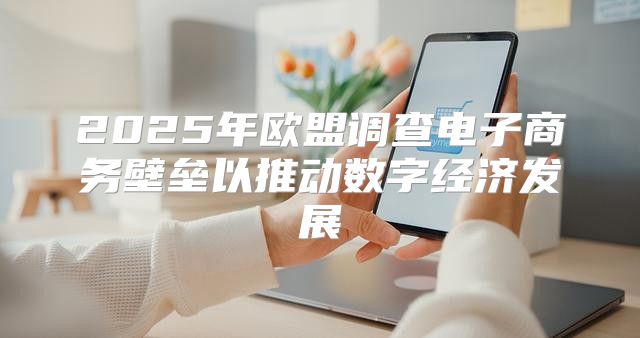 2025年欧盟调查电子商务壁垒以推动数字经济发展