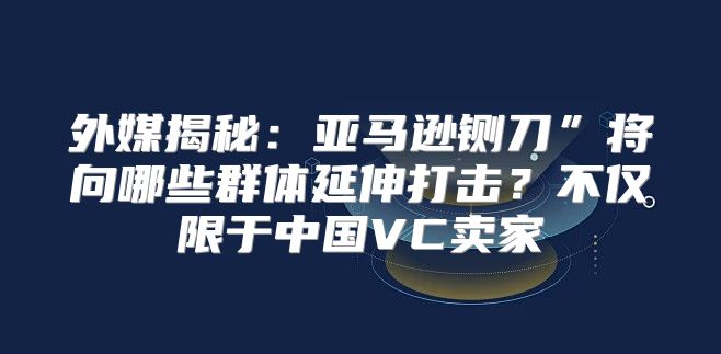 外媒揭秘：亚马逊铡刀”将向哪些群体延伸打击？不仅限于中国VC卖家