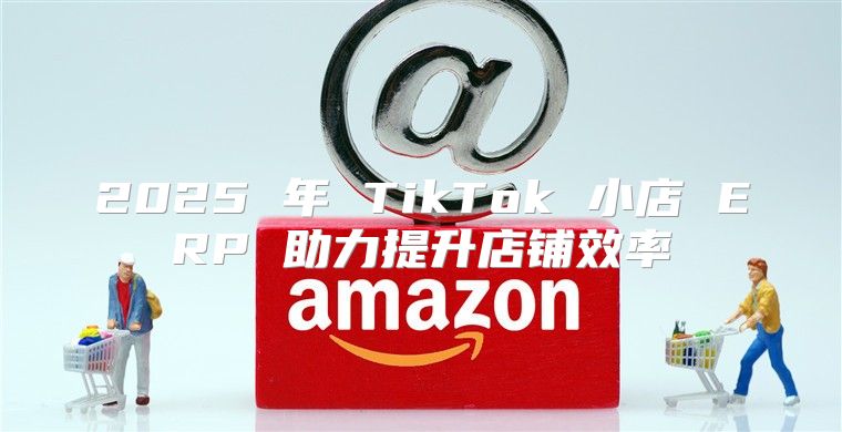 2025 年 TikTok 小店 ERP 助力提升店铺效率