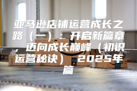 亚马逊店铺运营成长之路一：开启新篇章，迈向成长巅峰初识运营秘诀 2025年篇