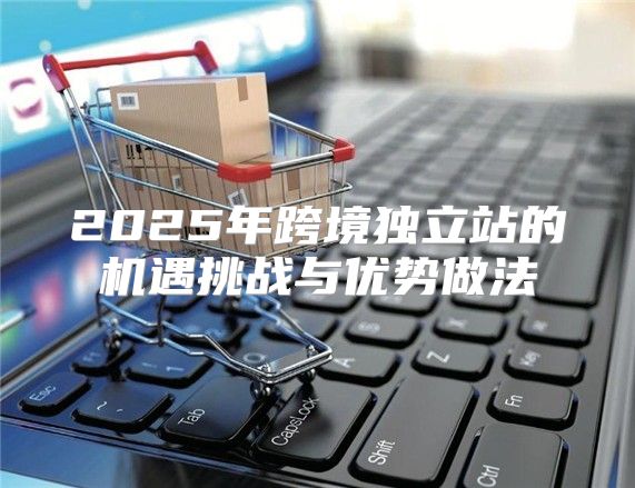 2025年跨境独立站的机遇挑战与优势做法
