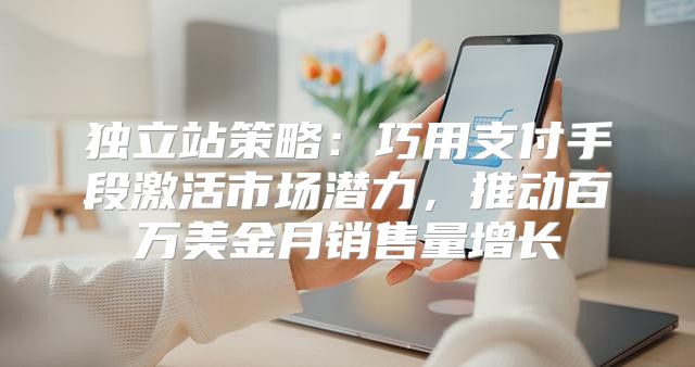 独立站策略：巧用支付手段激活市场潜力，推动百万美金月销售量增长