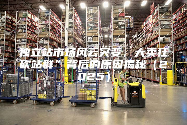 独立站市场风云突变，大卖狂砍站群”背后的原因揭秘2025