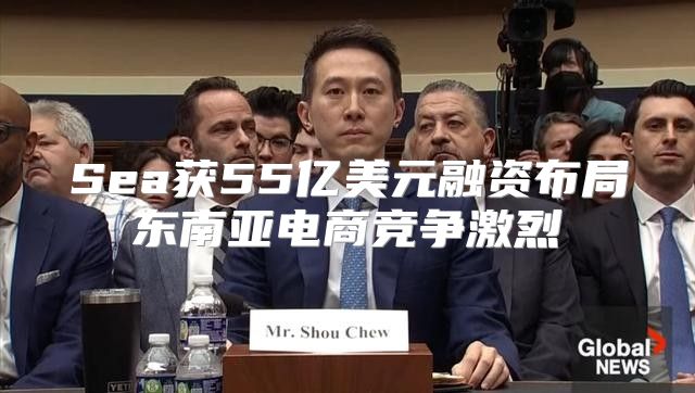 Sea获55亿美元融资布局东南亚电商竞争激烈
