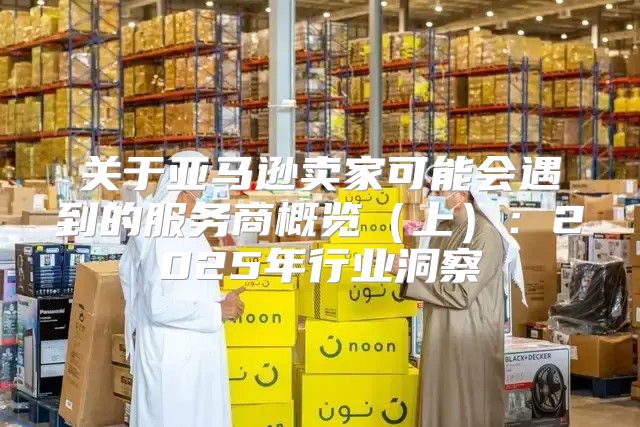 关于亚马逊卖家可能会遇到的服务商概览上：2025年行业洞察