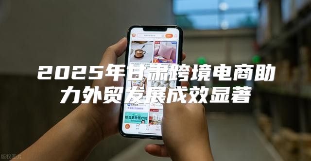 2025年甘肃跨境电商助力外贸发展成效显著