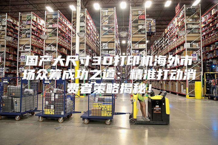 國產(chǎn)大尺寸3D打印機海外市場眾籌成功之道：精準(zhǔn)打動消費者策略揭秘！