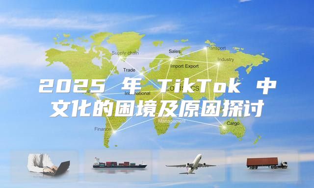 2025 年 TikTok 中文化的困境及原因探讨