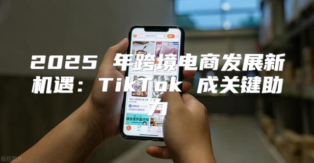 2025 年跨境电商发展新机遇：TikTok 成关键助力
