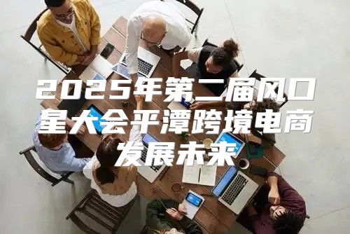 2025年第二届风口星大会平潭跨境电商发展未来