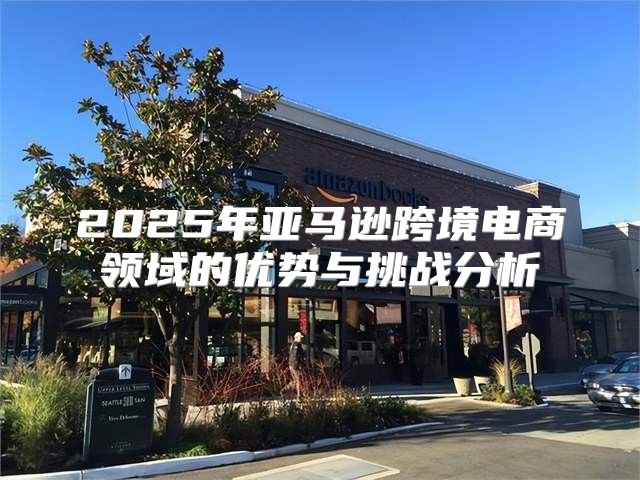 2025年亚马逊跨境电商领域的优势与挑战分析