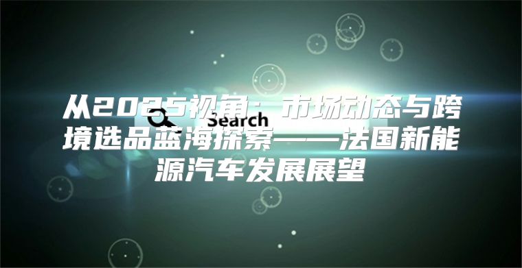 从2025视角：市场动态与跨境选品蓝海探索——法国新能源汽车发展展望