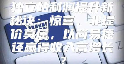 独立站利润提升新秘诀：惊喜，非提价莫属，以简易捷径赢得收入高增长？