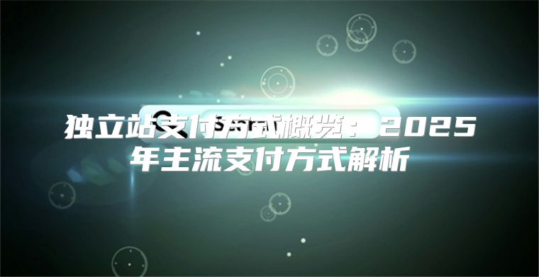 独立站支付方式概览：2025年主流支付方式解析
